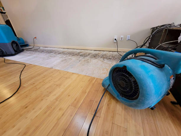 Professional Water Extraction technician working in Norwood, MA